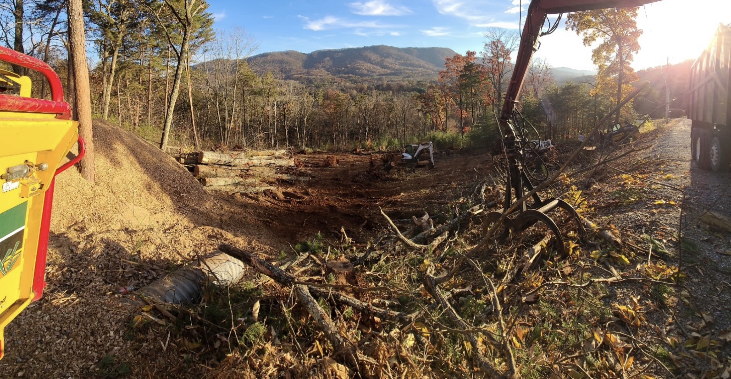 A wide cleared lot after an Elite Tree Service job in Powell