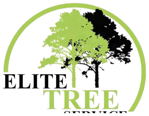 Elite Tree Service