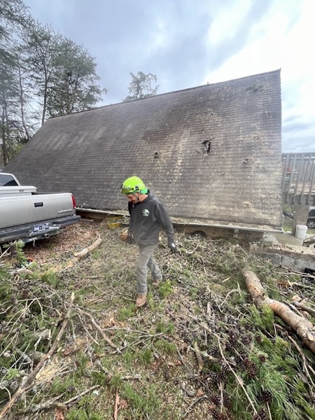 Real tree work by Elite Tree Service in Powell, TN