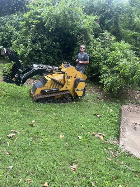 Real tree work by Elite Tree Service in Powell, TN