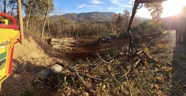 Real tree work by Elite Tree Service in Powell, TN