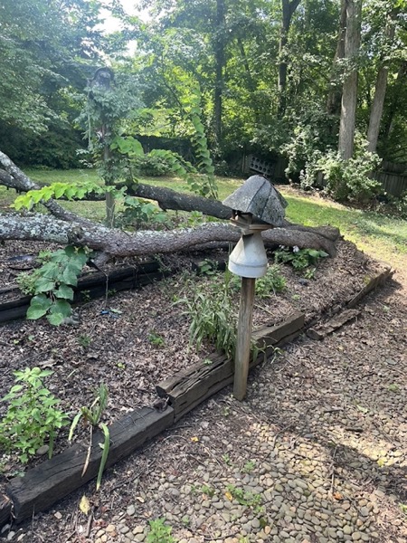 Real tree work by Elite Tree Service in Powell, TN