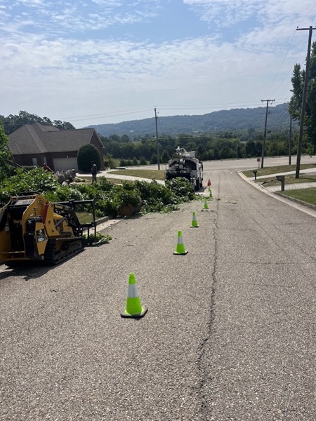 Real tree work by Elite Tree Service in Powell, TN