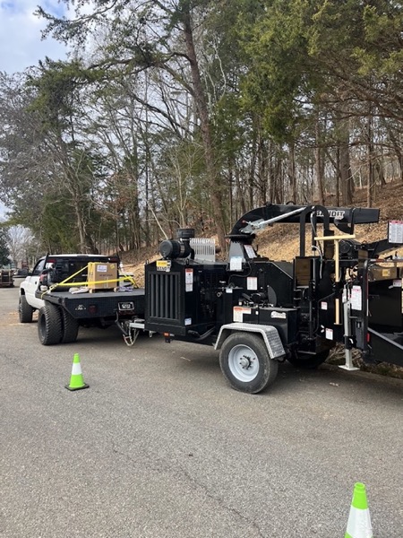 Real tree work by Elite Tree Service in Powell, TN