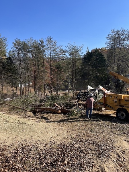 Real tree work by Elite Tree Service in Powell, TN
